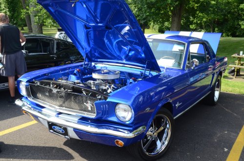 A Nice Variety at the Syrian Shrine Car Show