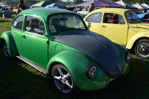 There Were Bugs at the Pumpkin Run