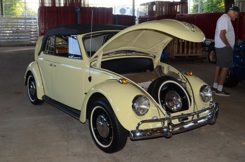 There Were Bugs at the Pumpkin Run