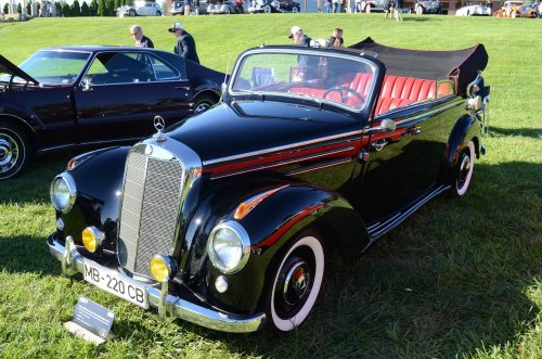 Fabulous Family Haulers at Concours Devou