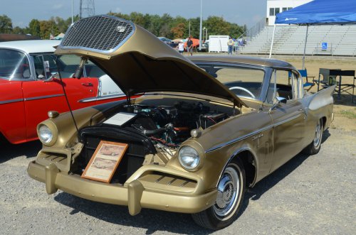 Great Variety at the Pumpkin Run