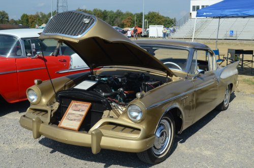 Great Variety at the Pumpkin Run