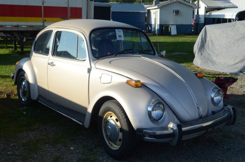 Beetles Crawled to the Pumpkin Run