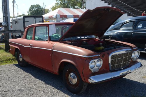 Pumpkin Run Is a Major Fundraiser