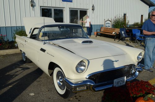 Thunderbirds Rose Up At the Pumpkin Run