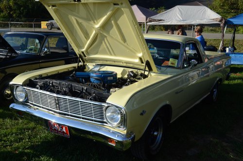 Falcons Flew to the Pumpkin Run