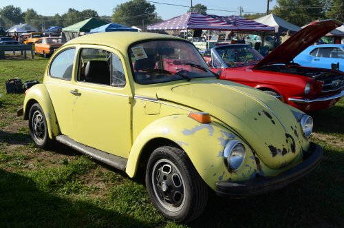 There Were Bugs at the Pumpkin Run