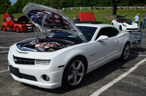 Light Turnout for Father's Day Show