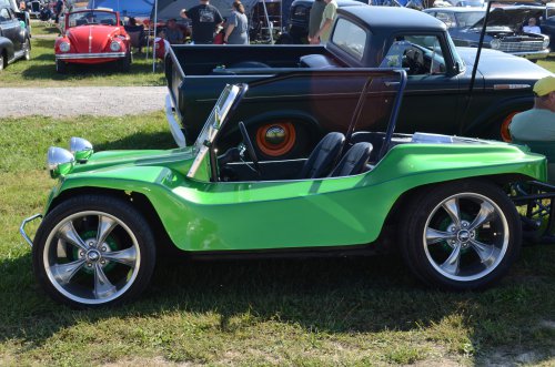 Bugs Made It to the Pumpkin Run