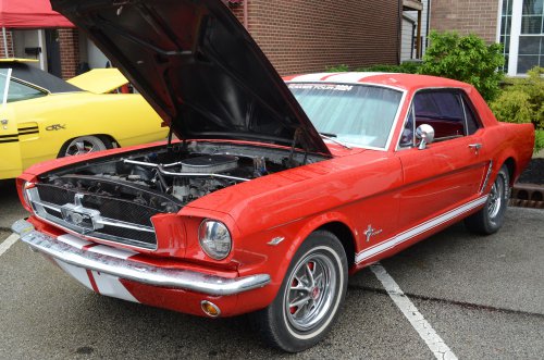 Mustang Cruised Into Lawrenceburg