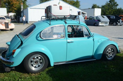 Beetles Crawled to the Pumpkin Run