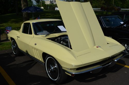 A Nice Variety at the Syrian Shrine Car Show