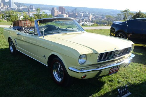 Concours Devou Hosted Fantastic Fords