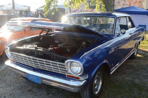 The Pumpkin Run Is More Than a Regional Show