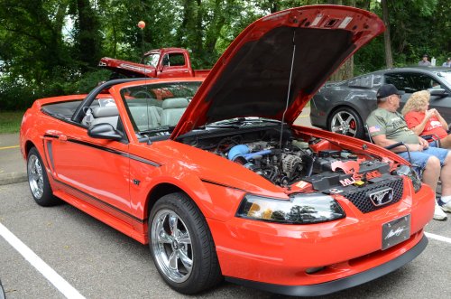 Mustangs Rolled into Fernbank Park