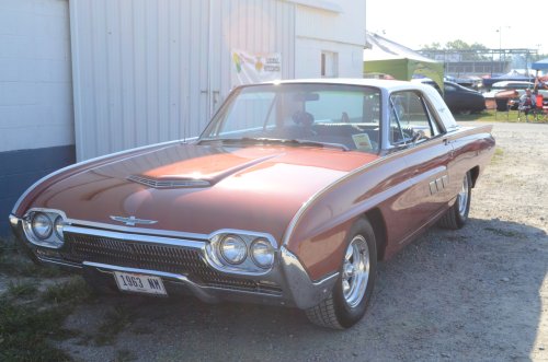 Thunderbirds Rose Up At the Pumpkin Run