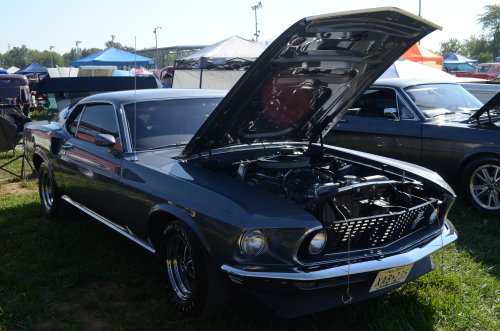 Mustang at the Pumpkin Run