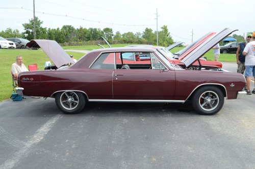 The Erlinger Lions Show Brought a Lot of Variety
