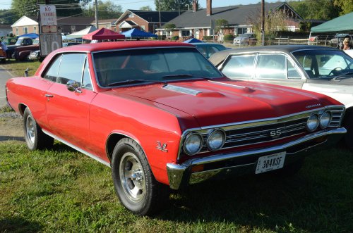 The Largest Show in the Region