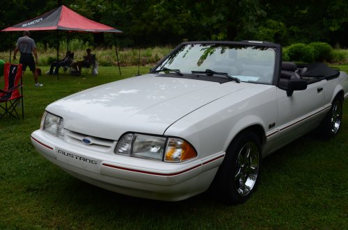 Mustangs Rolled into Fernbank Park