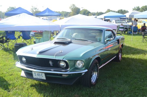 Mustangs At the Pumpkin Run