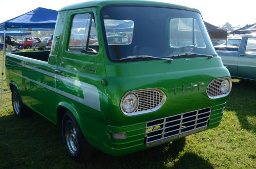 Falcons Nested at the Pumpkin Run