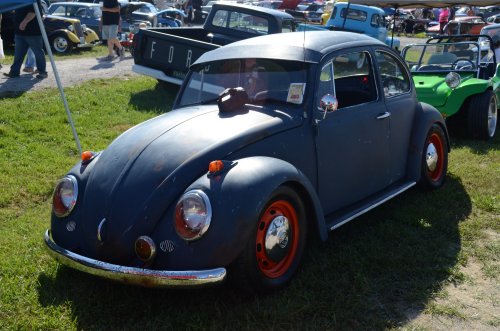 Bugs Made It to the Pumpkin Run