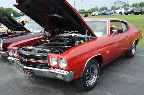The Erlinger Lions Show Brought a Lot of Variety