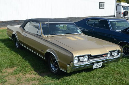 Oldsmobile At the Pumpkin Run