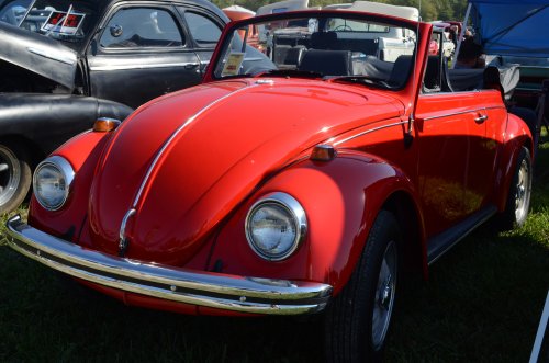 Bugs Made It to the Pumpkin Run