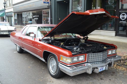 Customs Rolled Into Newport