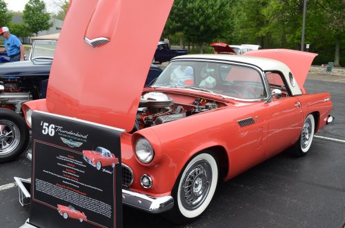 Some Variety at Cars and Courage
