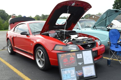 Spanning the Decades at the Erlanger Lions Show
