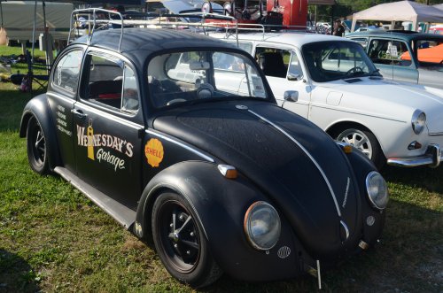 Beetles Crawled to the Pumpkin Run