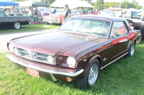 Mustangs At the Pumpkin Run