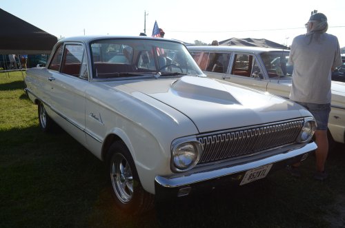 Falcons Nested at the Pumpkin Run