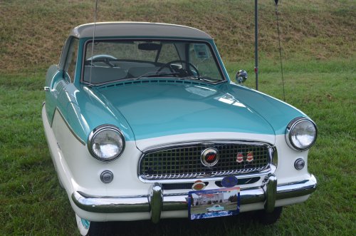 Interesting Variety at the Pumpkin Run