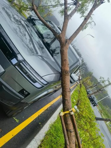 BYD’s Shenzhen base hit by Typhoon Noul, Da Tang & Ti7 deliveries delayed
