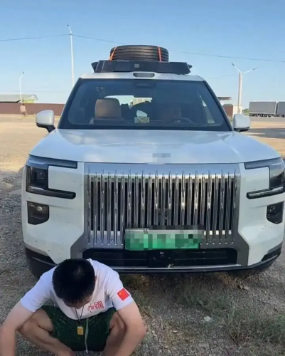 Zeekr, Smart, Zeekr 9X owner stranded abroad: remote lockout disables smart features for 30 hours
