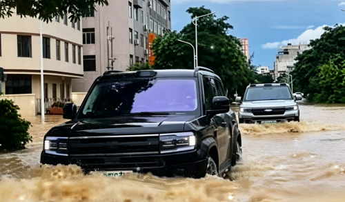 BYD convoys enter deep China flood zones for relief despite executive safety warnings