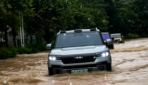 BYD, BYD convoys enter deep China flood zones for relief despite executive safety warnings
