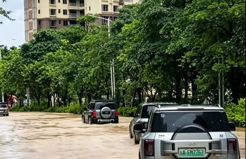 BYD convoys enter deep China flood zones for relief despite executive safety warnings