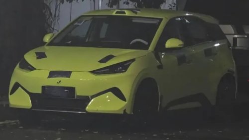 BYD to launch the new “Great Seagull” EV hatchback this year, Ocean series GM shared