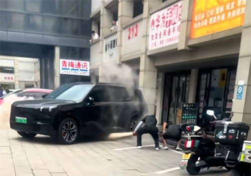 Lynk Co, Lynk & Co 900 catches fire, dealer claims a pedestrian kicked a power bank under it