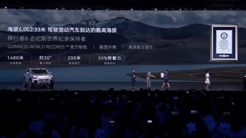 Freelander 8 started sales in China at 46,120 USD and set a Guinness Record