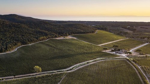Un grand millésime : la Maserati Grecale Tributo Il Bruciato