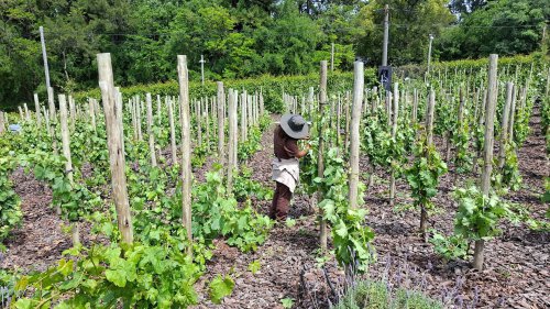 Apuntes del lanzamiento del Peugeot 408