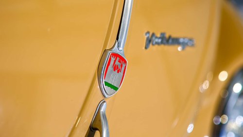 Die seltensten Käfer der Welt: 9 Kostbarkeiten von Laster bis Luxus