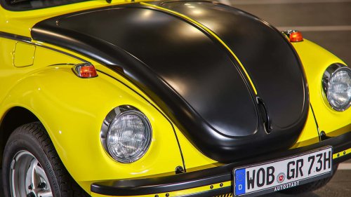 Die seltensten Käfer der Welt: 9 Kostbarkeiten von Laster bis Luxus