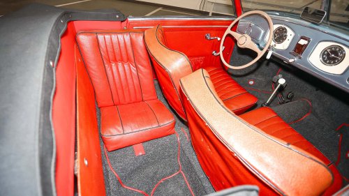 Die seltensten Käfer der Welt: 9 Kostbarkeiten von Laster bis Luxus